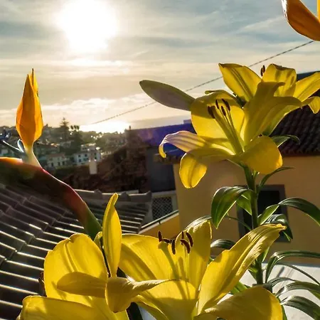 Little Townhouse Ferienhaus Funchal (Madeira)