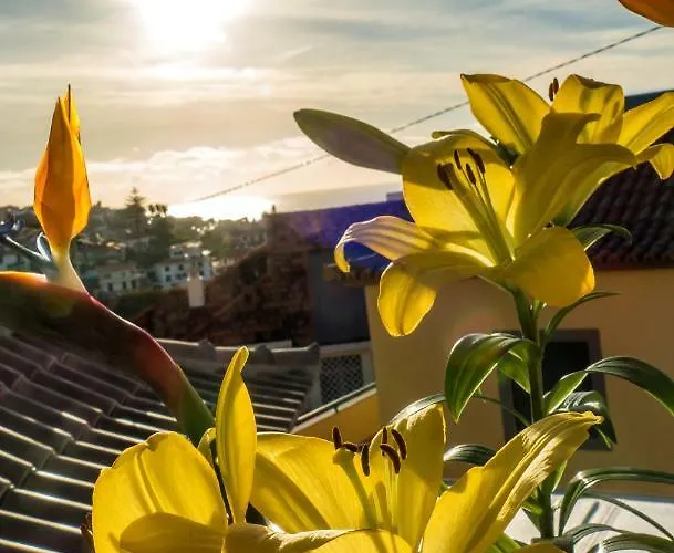 Little Townhouse 別荘 フンシャル